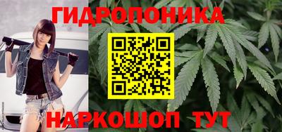 эйфоретик Краснодар