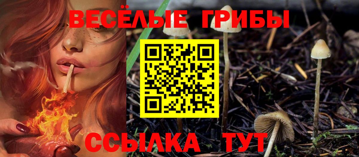 где купить наркоту  Вход с VPN  Елец  Галлюциногенные грибы ЛСД  Галлюциногенные грибы Psilocybine cubensis 